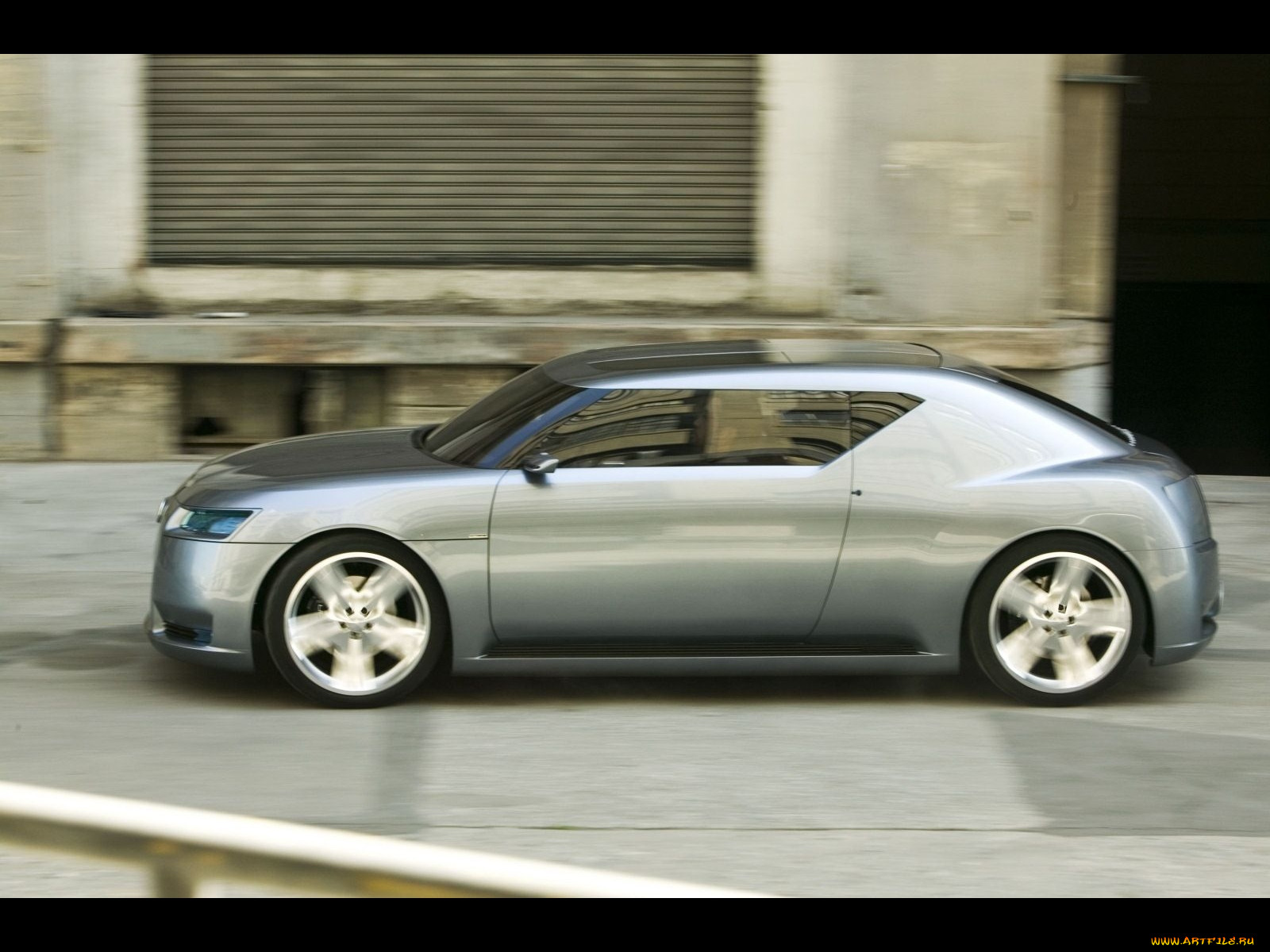 , scion